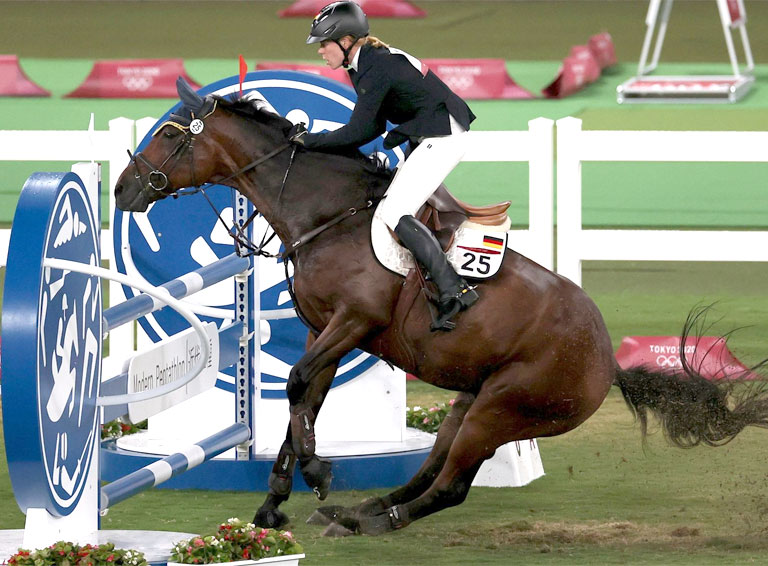 В преддверии года лошади. Что-то кони мне попались привередливые